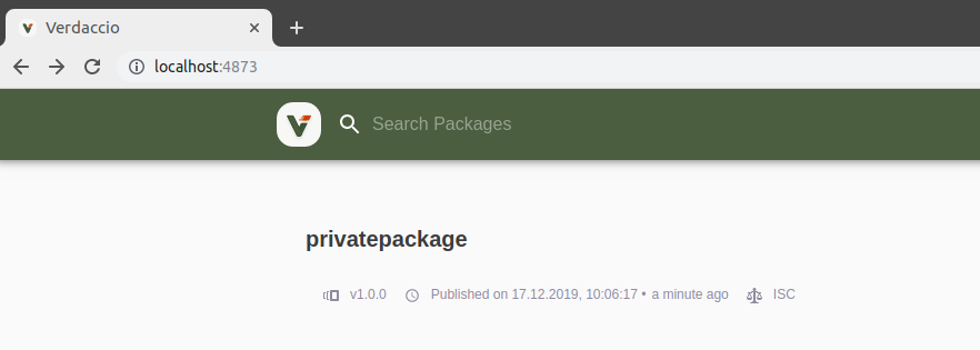 私有仓库可见私有包